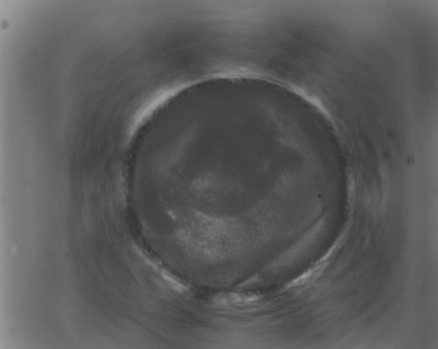 X0000062851311200601272031