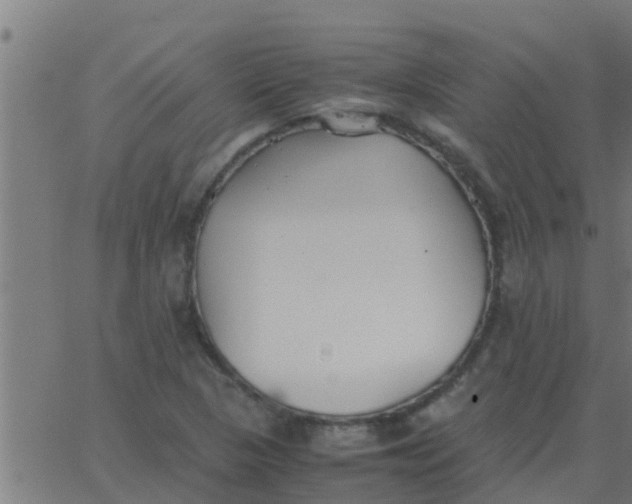 X0000062851313200601272031