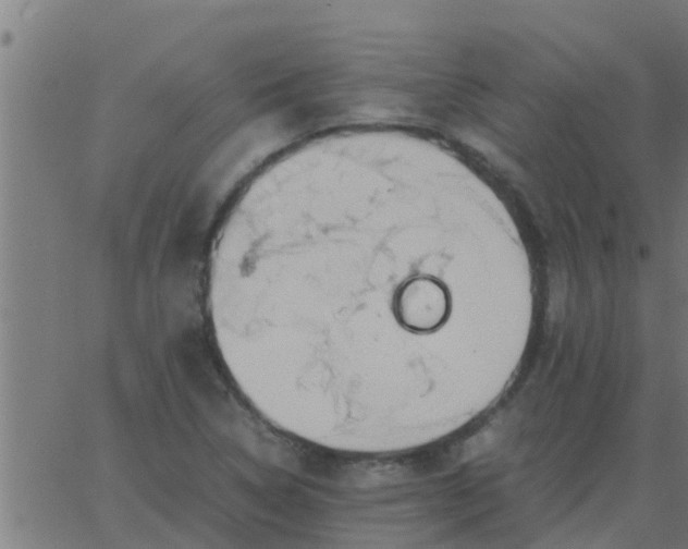 X0000062851314200601272031