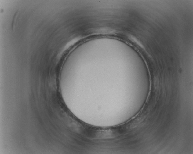 X0000062851315200601272031