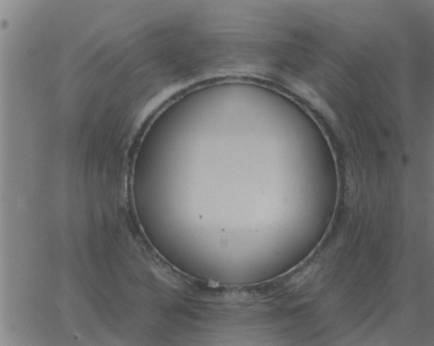 X0000062851316200601272031