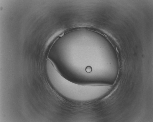 X0000062851317200601272031