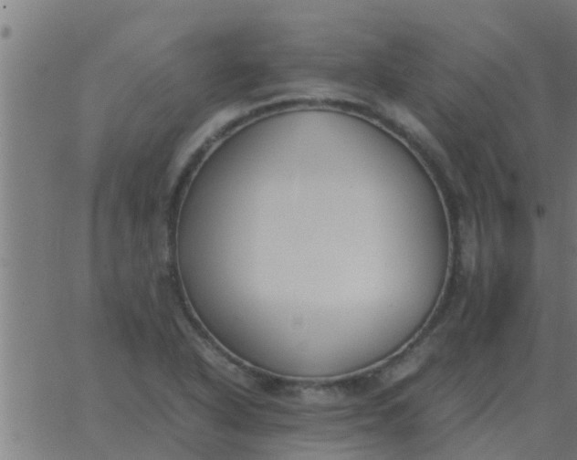 X0000062851318200601272031