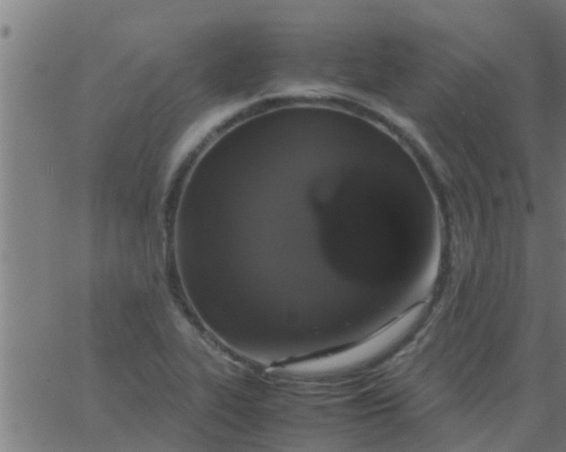 X0000062851319200601272031