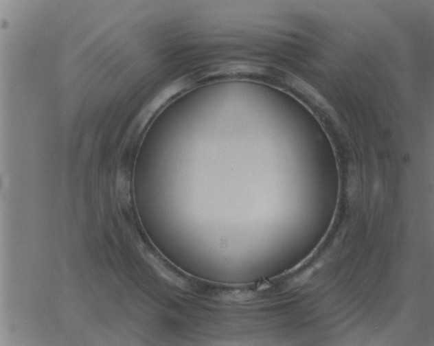 X0000062851321200601272031