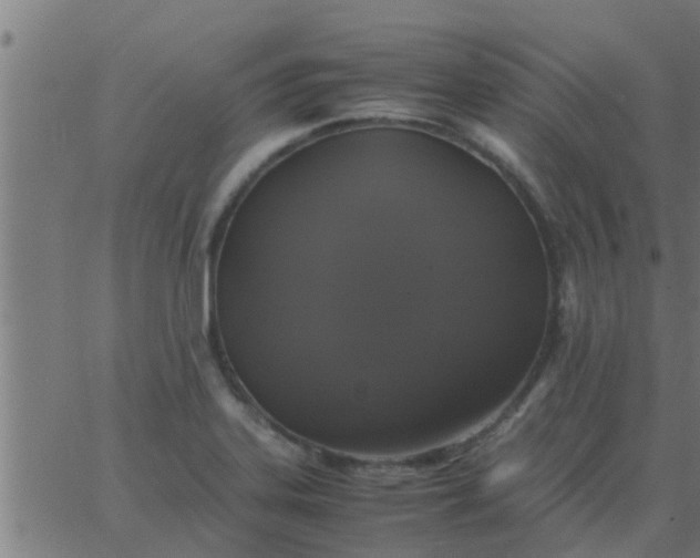 X0000062851323200601272031