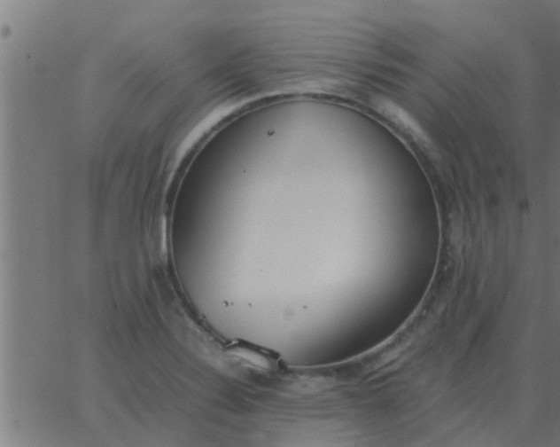 X0000062851324200601272031