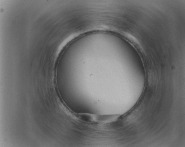 X0000062851326200601272031