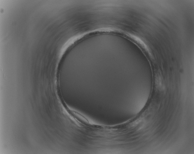 X0000062851327200601272031