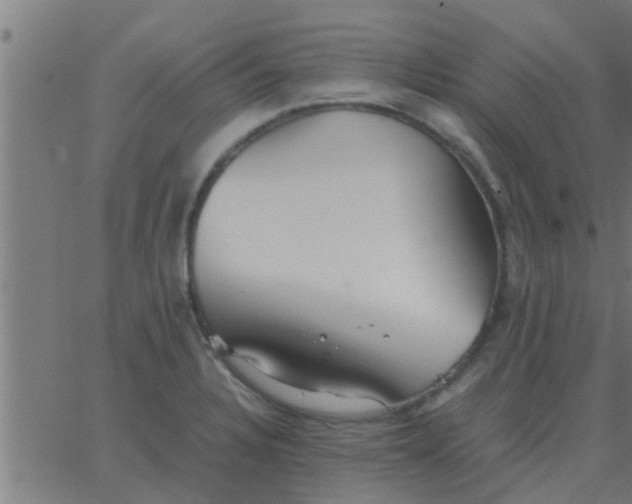 X0000062851328200601272031