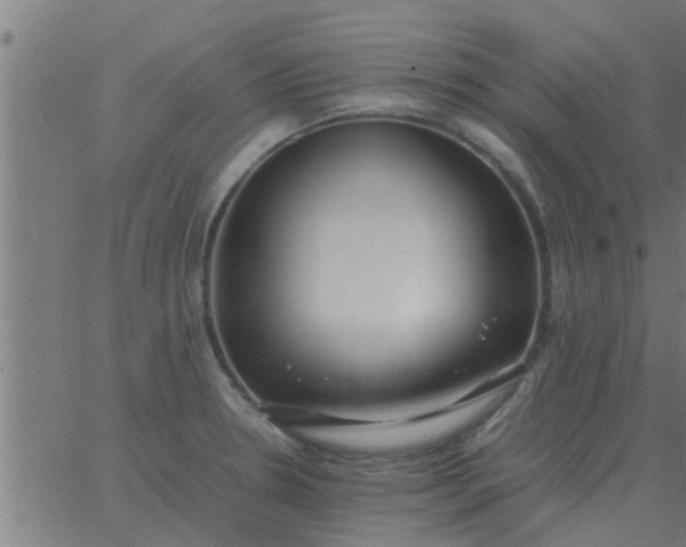 X0000062851330200601272032