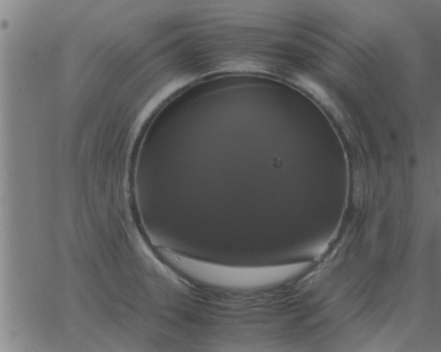 X0000062851331200601272032