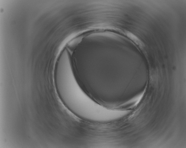 X0000062851334200601272032