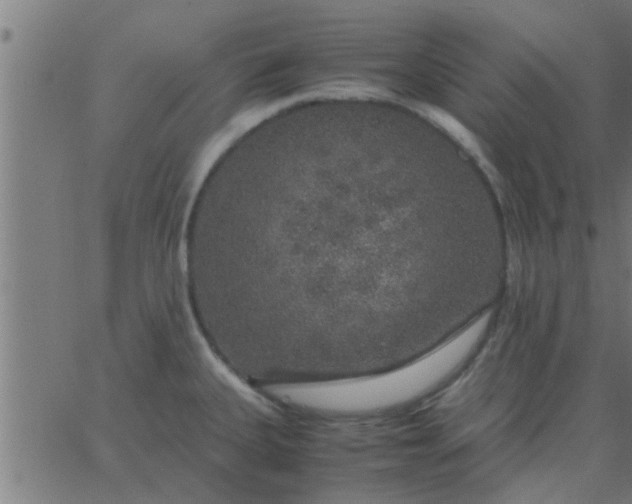 X0000062851335200601272032