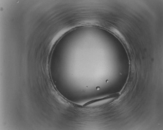 X0000062851336200601272032