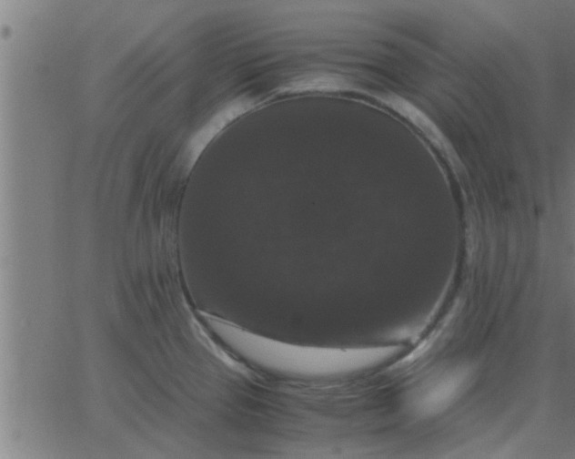 X0000062851337200601272032