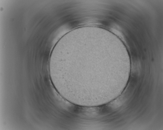 X0000062851338200601272032