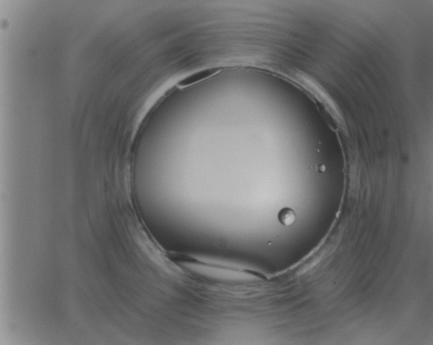 X0000062851340200601272032