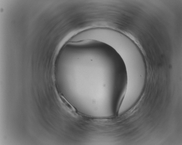 X0000062851342200601272032