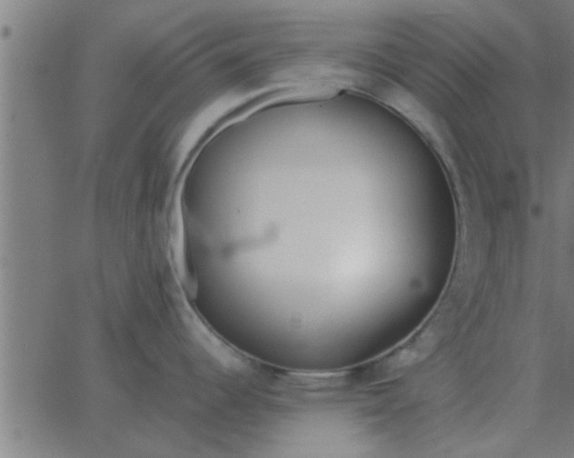 X0000062851344200601272032