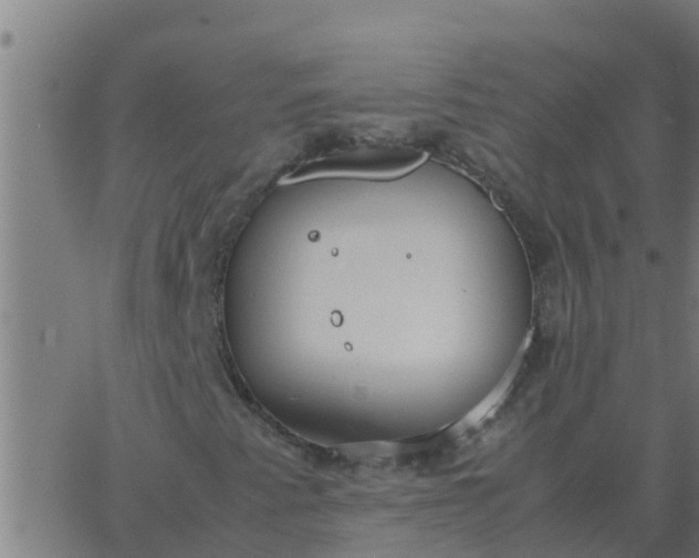 X0000062851345200601272031