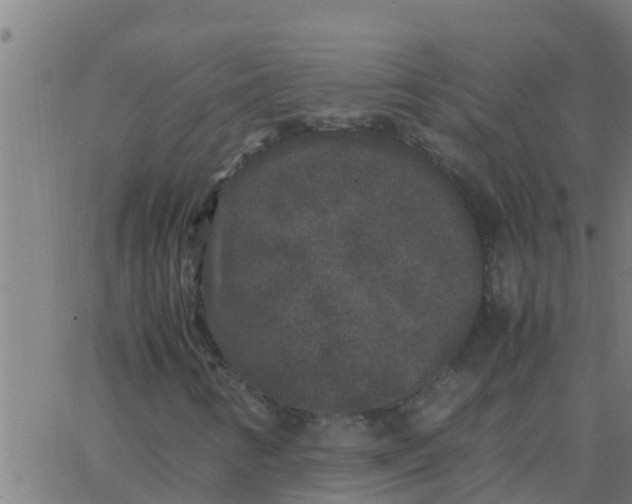 X0000062851346200601272031