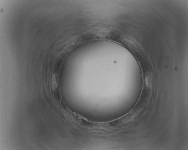 X0000062851347200601272031