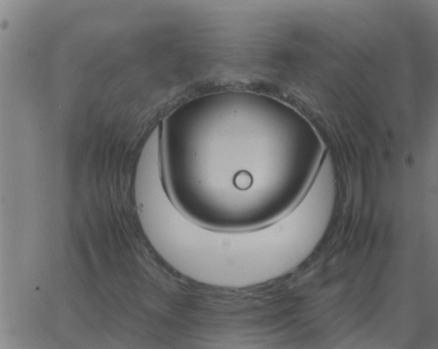 X0000062851348200601272031