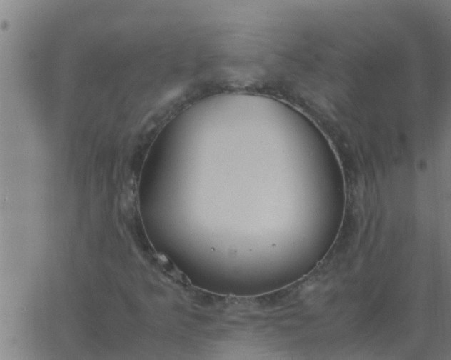 X0000062851349200601272031