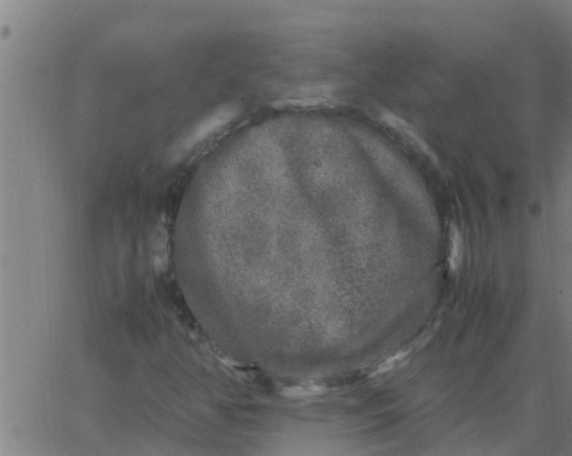 X0000062851350200601272031