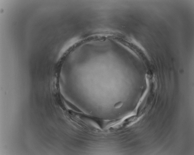 X0000062851352200601272031