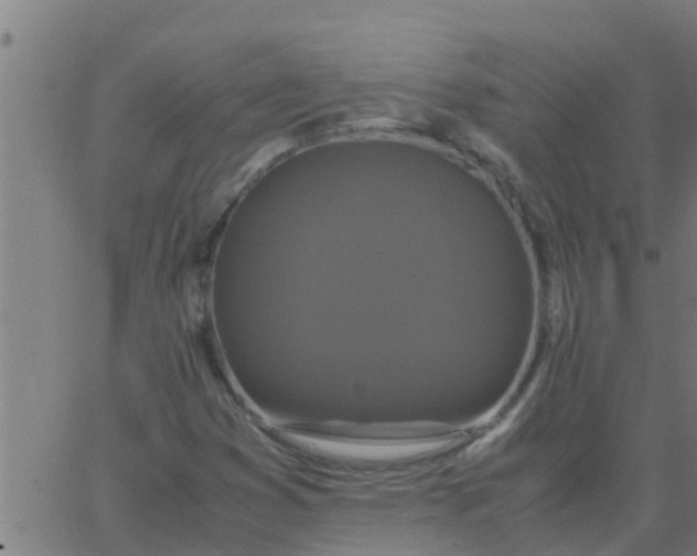 X0000062851353200601272031