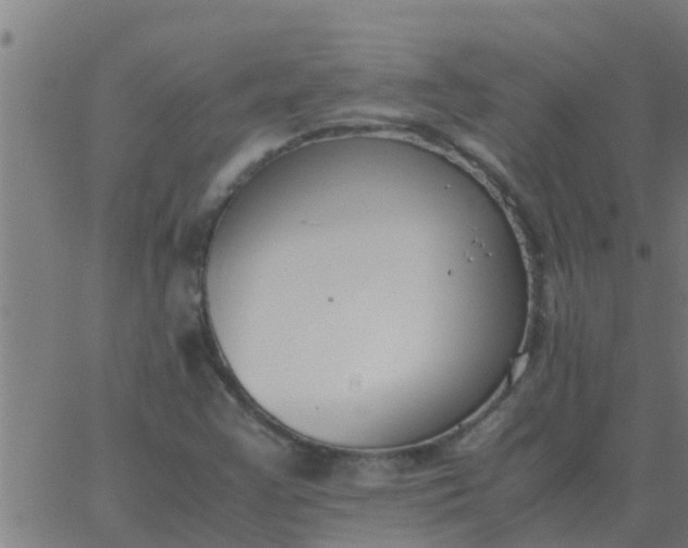 X0000062851355200601272031