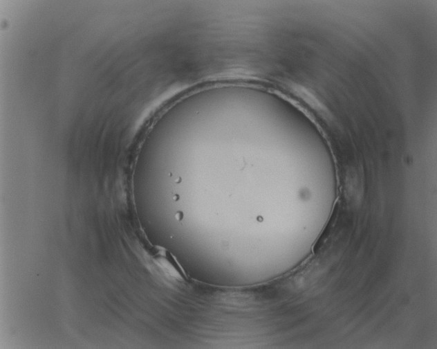 X0000062851356200601272031