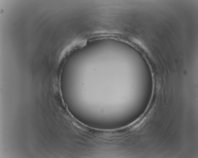 X0000062851357200601272031