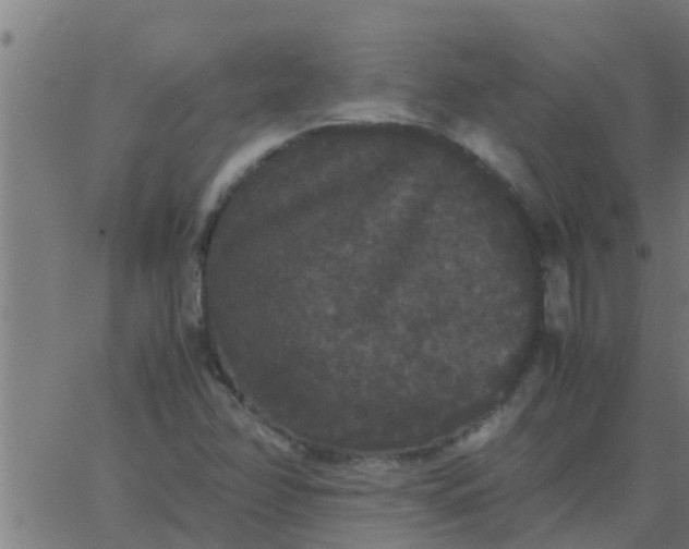 X0000062851358200601272031