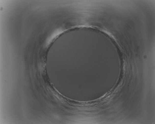 X0000062851359200601272031