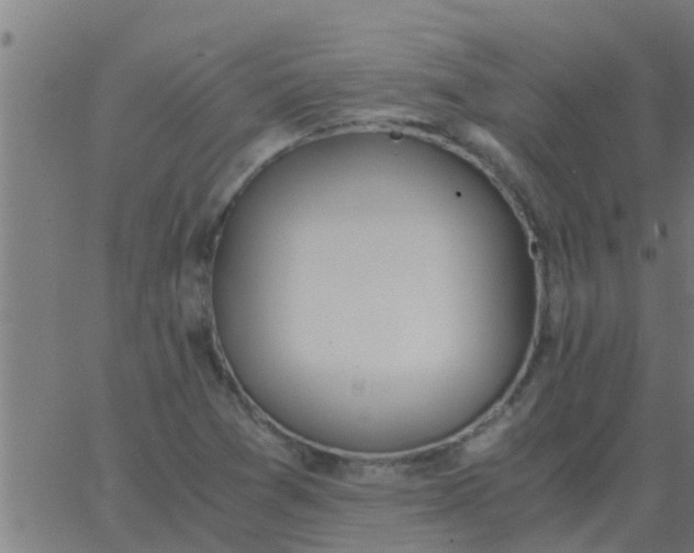 X0000062851361200601272031