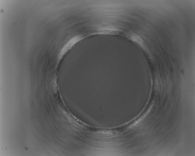 X0000062851362200601272031