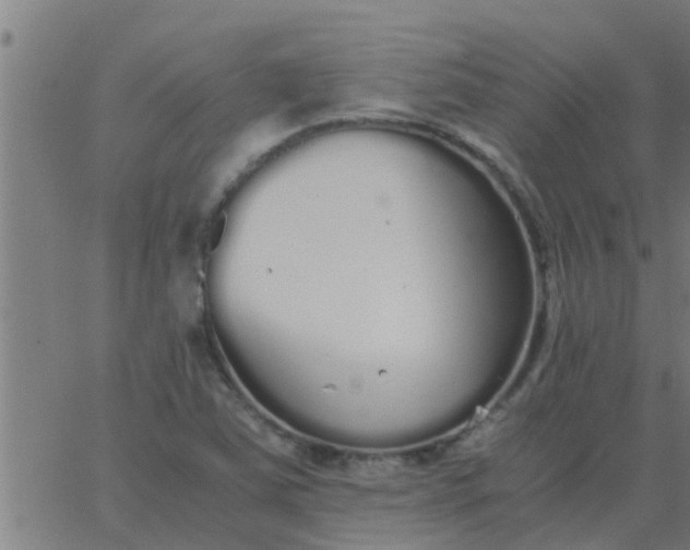 X0000062851363200601272031