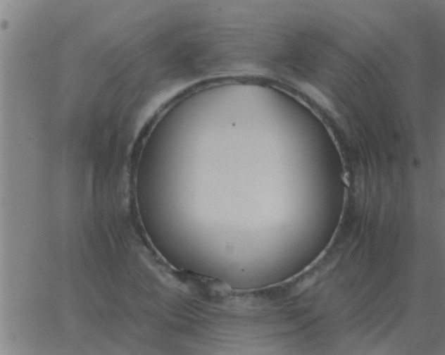 X0000062851364200601272031