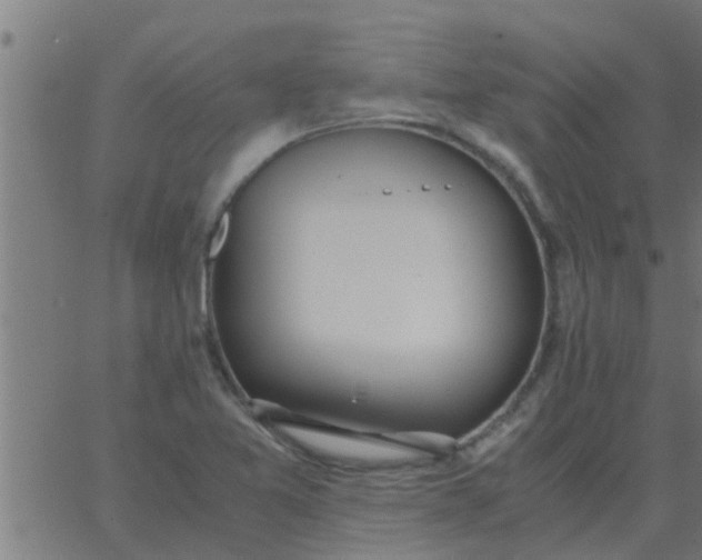 X0000062851365200601272031