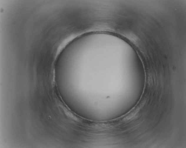 X0000062851366200601272031