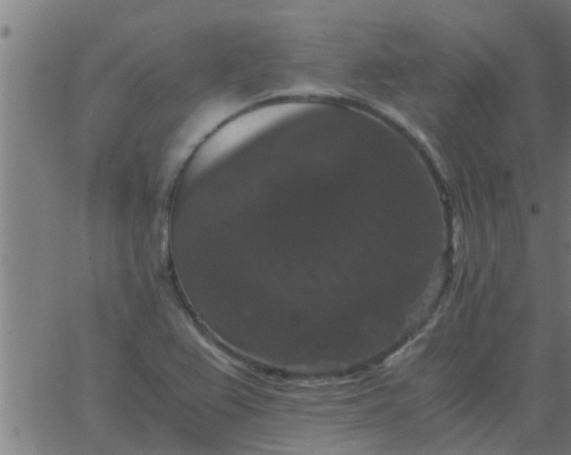 X0000062851367200601272031