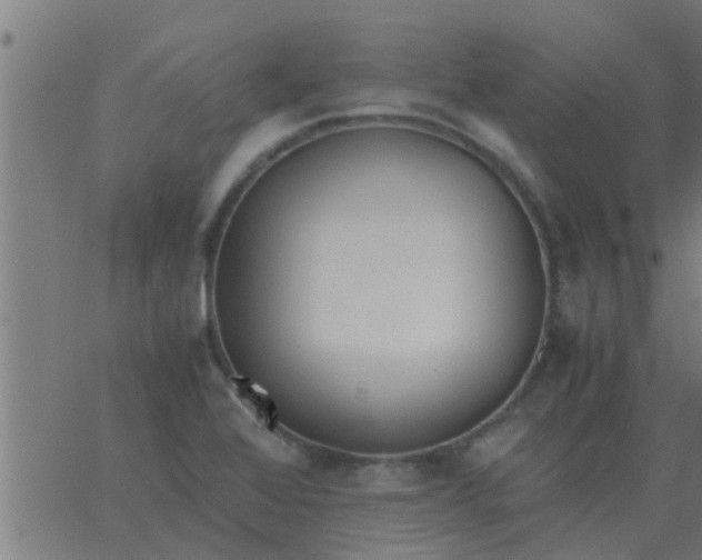 X0000062851368200601272031