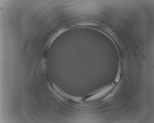 X0000062851369200601272031