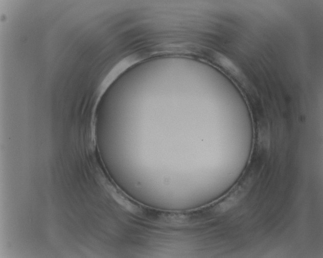 X0000062851370200601272031