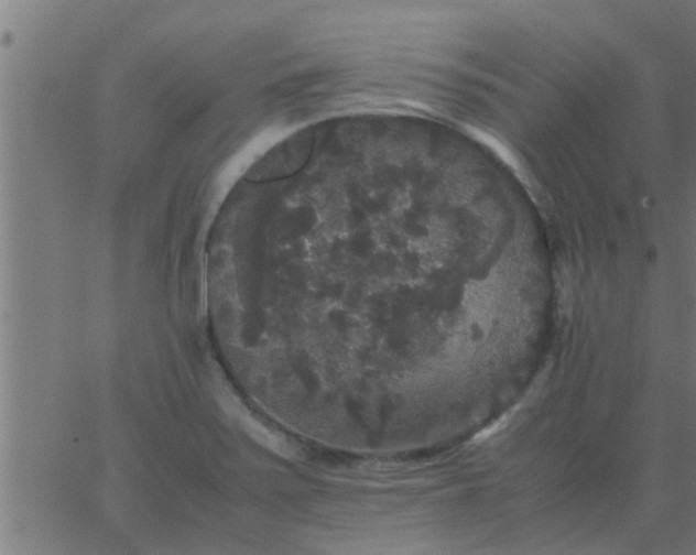 X0000062851371200601272031