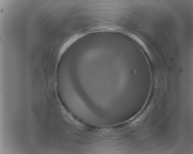 X0000062851373200601272030