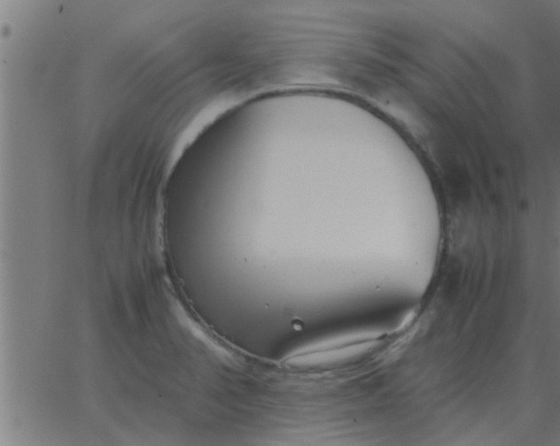 X0000062851374200601272030